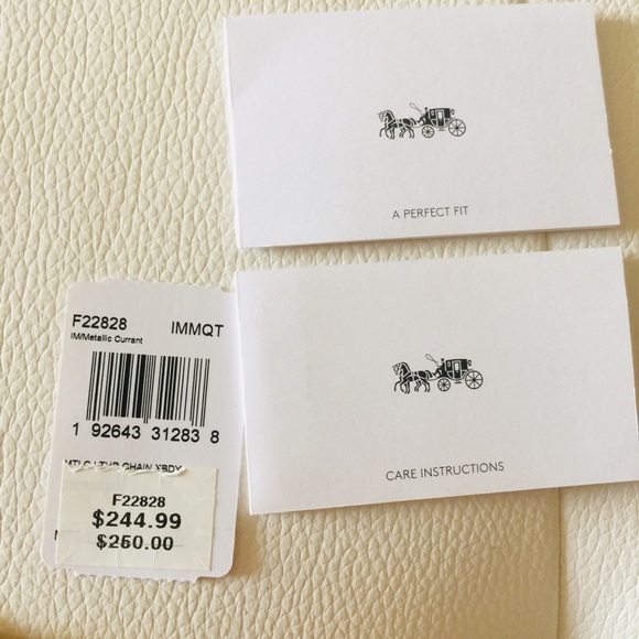 NWT $250 Coach Crossbody Chain wristlet bag clutch - Picture 2 of 8